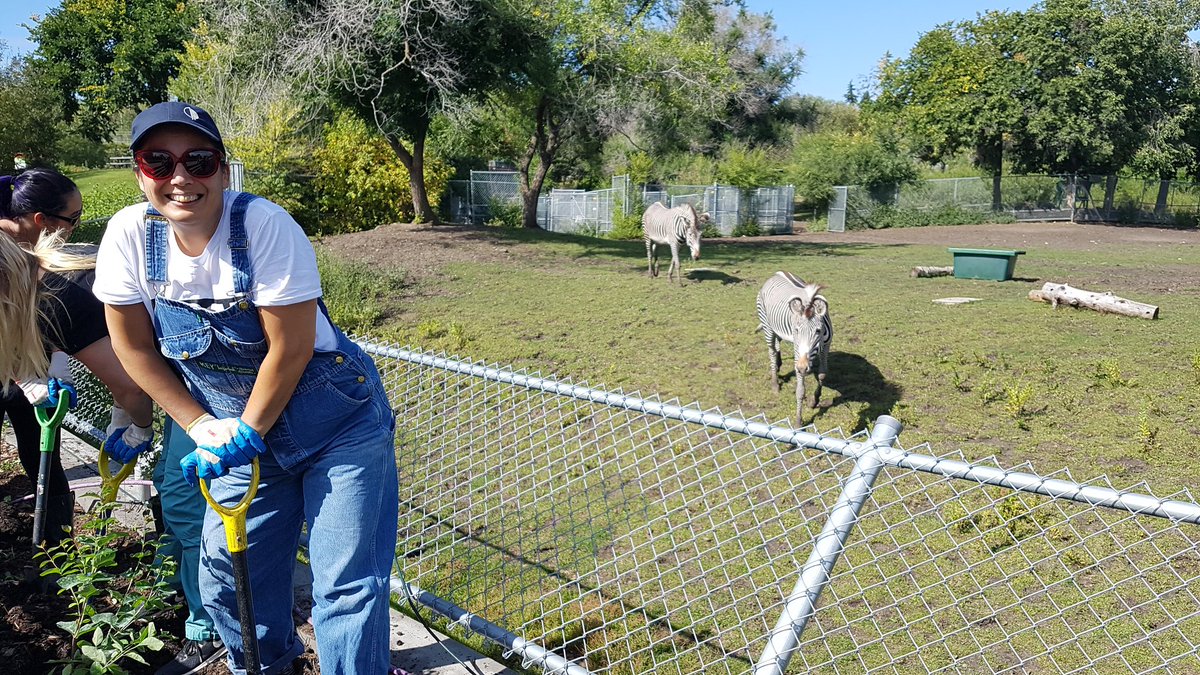 CityHallSchool's tweet image. Thanks @localgoodYEG and @yegparks&apos; #rootfortrees. It was a great day for the Plant Mob at the Valley Zoo.