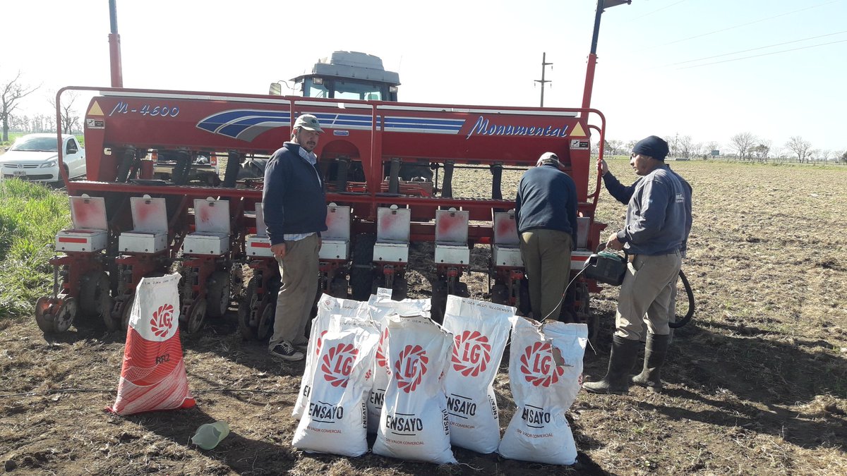 MGabatta's tweet photo. Sembrado el primer ensayo, sobre ruta 70! Productorazo amigo y un grupo de siembra excelente! #maiz
#generandoinformación #limagrain #sursem #LGsemillas
@SantiAbba
@ADN_Rural
@28arnaudocherry https://t.co/eYzlNuBRC8