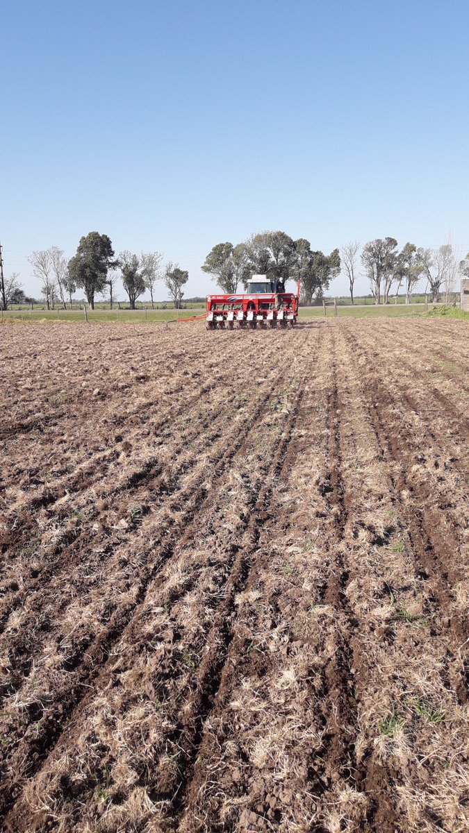 MGabatta's tweet photo. Sembrado el primer ensayo, sobre ruta 70! Productorazo amigo y un grupo de siembra excelente! #maiz
#generandoinformación #limagrain #sursem #LGsemillas
@SantiAbba
@ADN_Rural
@28arnaudocherry https://t.co/eYzlNuBRC8
