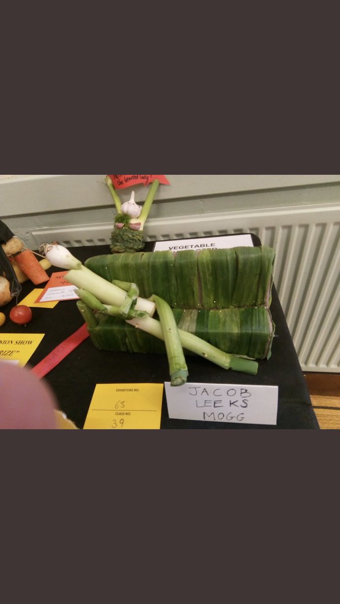JEM1611's tweet photo. Under 11s creative vegetable competition. This is utter genius https://t.co/BT2I5y9ki8