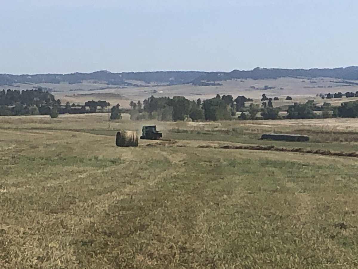 nelonghorns40's tweet photo. September haying!! #rollon #hay19 https://t.co/7oGGGAnCWP