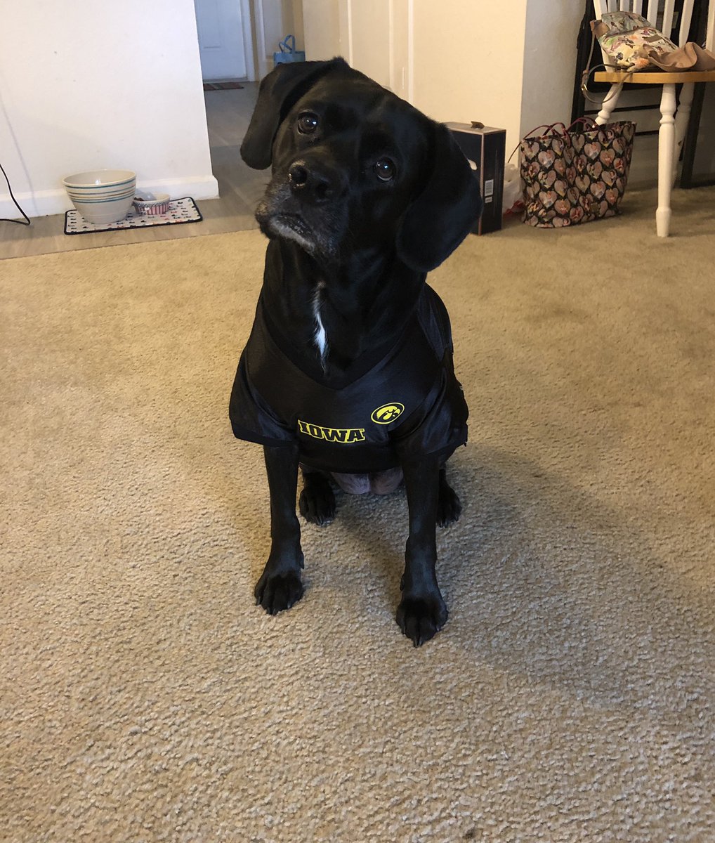DarcyD26's tweet photo. @TheIowaHawkeyes Charlie is wondering when the game will start again! #GoHawks https://t.co/7zLxkJhJ0z