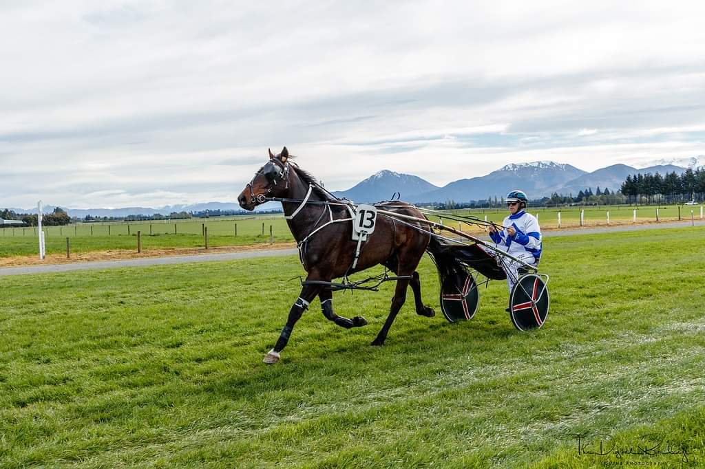 AStuartHarness's tweet photo. 🎉 Racing Today 🎉

Best of luck to connections!

@OffnRacing https://t.co/SpNCoKOQcS
