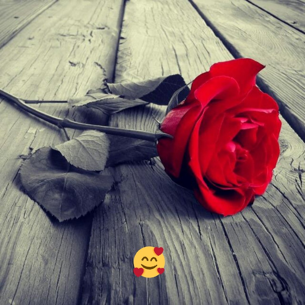 Seni unutmak için and içtim gözlerin geldi aklıma vazgeçtim.