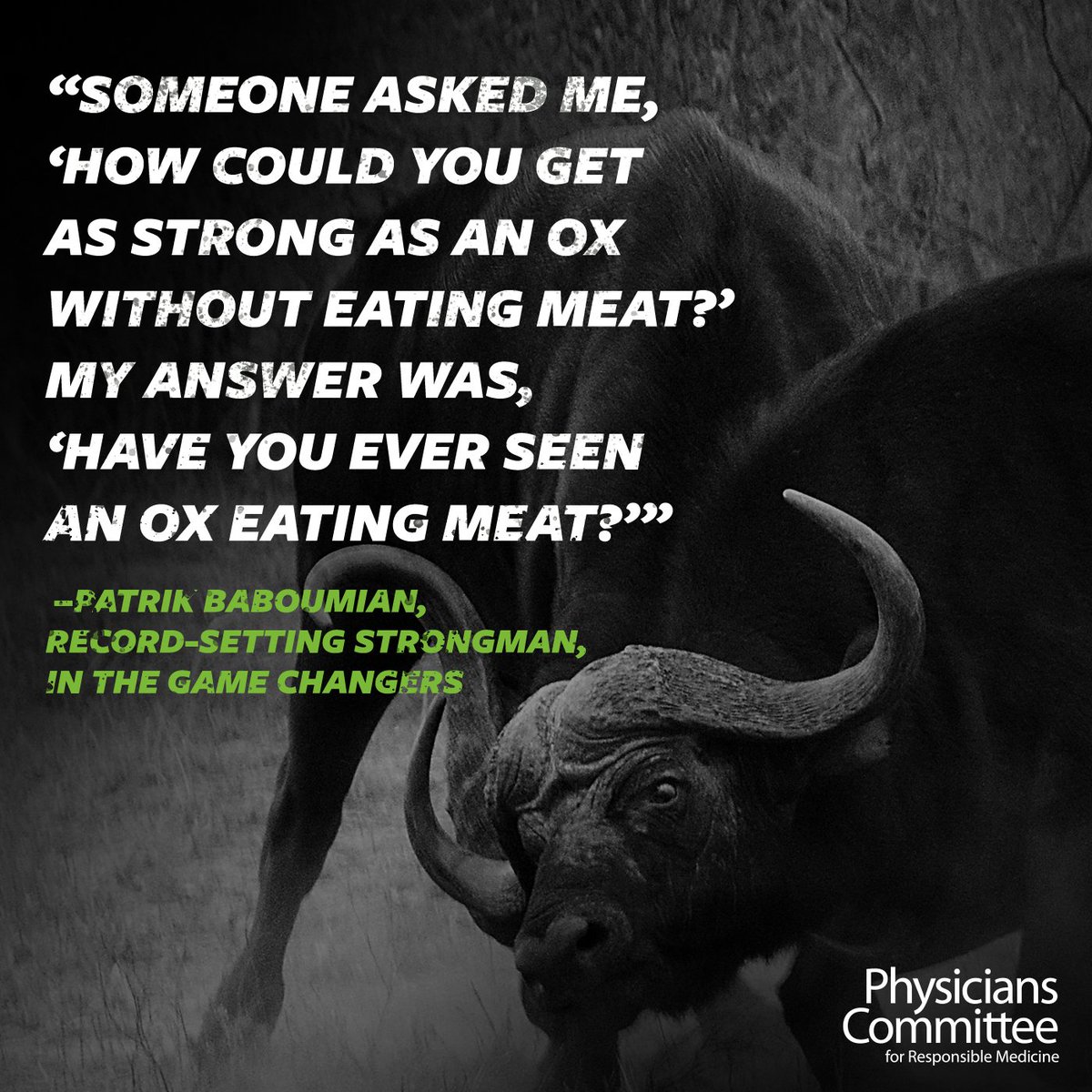 PCRM's tweet photo. No meat? No problem! Athletes like Patrik Baboumian are proving that we don't need meat to build strength. We are so excited to hear more about plant-powered athletes at the world premiere of The Game Changers on Monday night! Learn more at https://t.co/VKaFvASD21. https://t.co/38FfX4CCpk