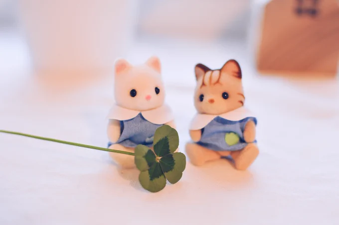 今日もいい日になりますように 