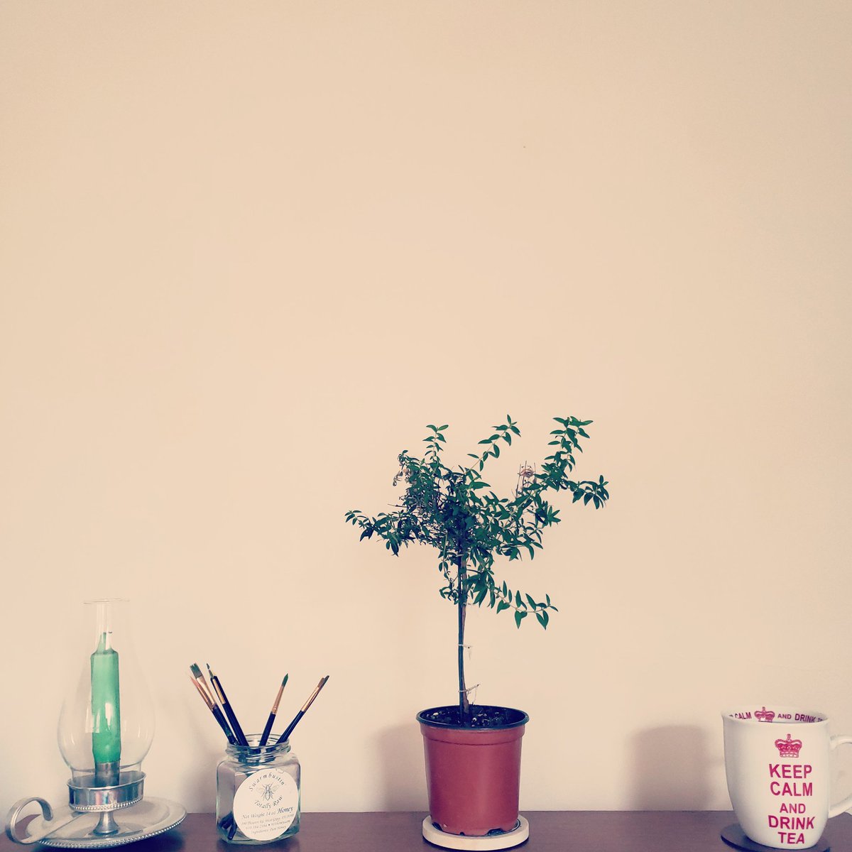 Planning our 2019 #holidaygiftguide  DM if you'd like a spot or know someone who should! #thedailytea