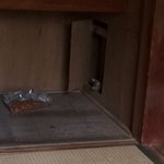 築50年の家に座敷わらしがいる…？!その正体が可愛すぎる…!