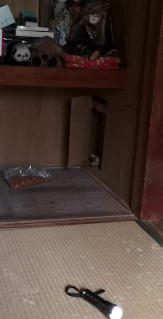 築50年の家に座敷わらしがいる…？！その正体が可愛すぎる…！！