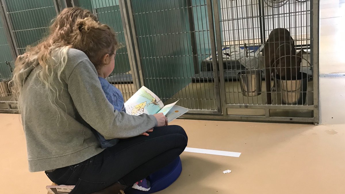Sean Stackhouse Today the Waterville Area Humane Society kicked off it's little rescue ...