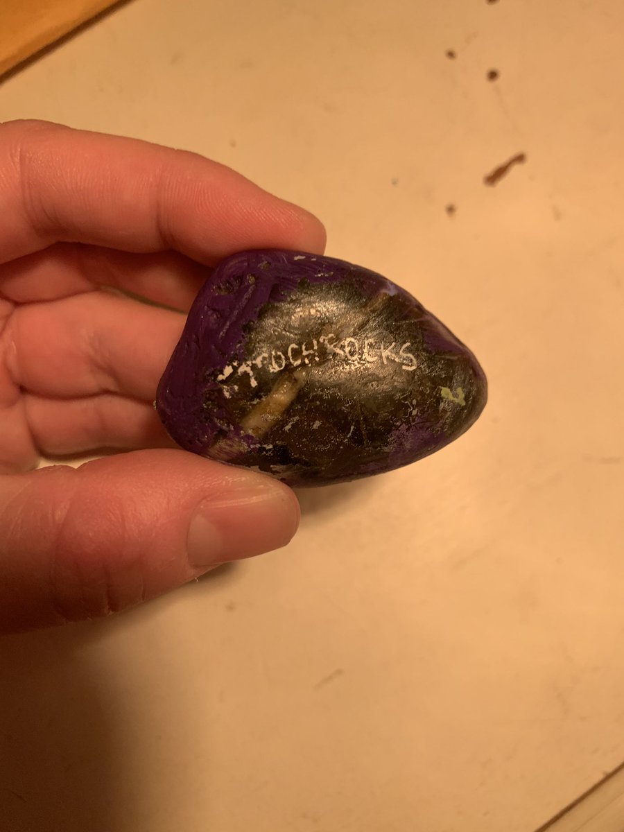 meg5han's tweet photo. Pete loves to find rocks to give to people. Someone left this for him near our mailbox. He was so impressed I knew the artist @kmtroch ❤️ #trochrocks https://t.co/houueoWT25