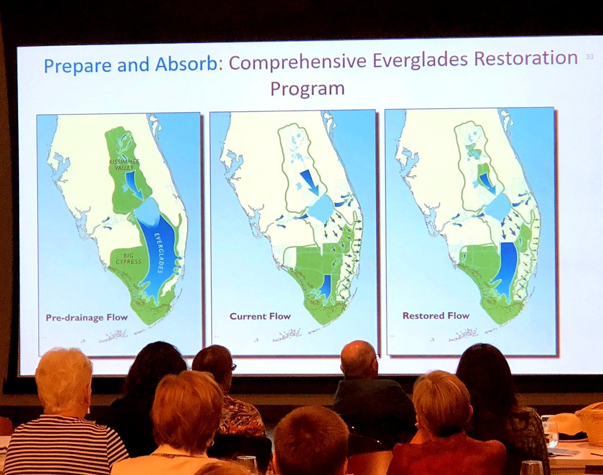 JuliaNesheiwat's tweet image. Great to meet with community leaders in #Jacksonville and building on local #resilience initiatives. #CityofJax #USGBC #NEFlorida #climate #flooding