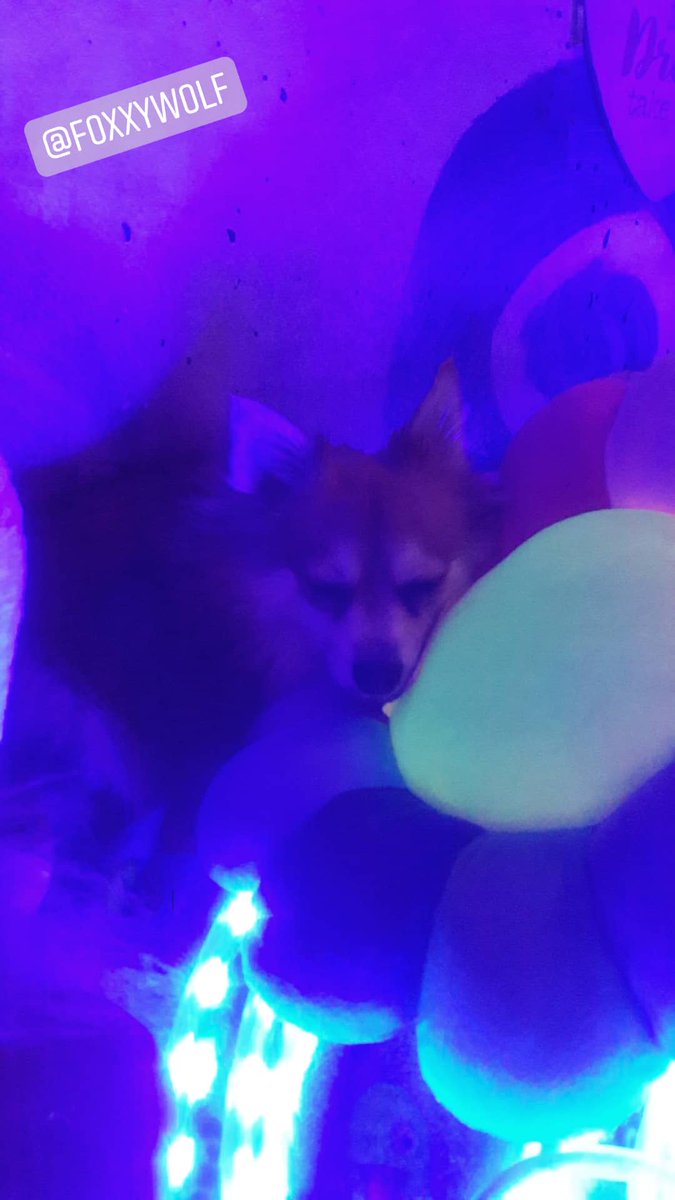 MsMastaFoXX LLC♌👽🖖🌋🕉🔑7-FigBizOwner💰👑🌊💜☯️ tweet media