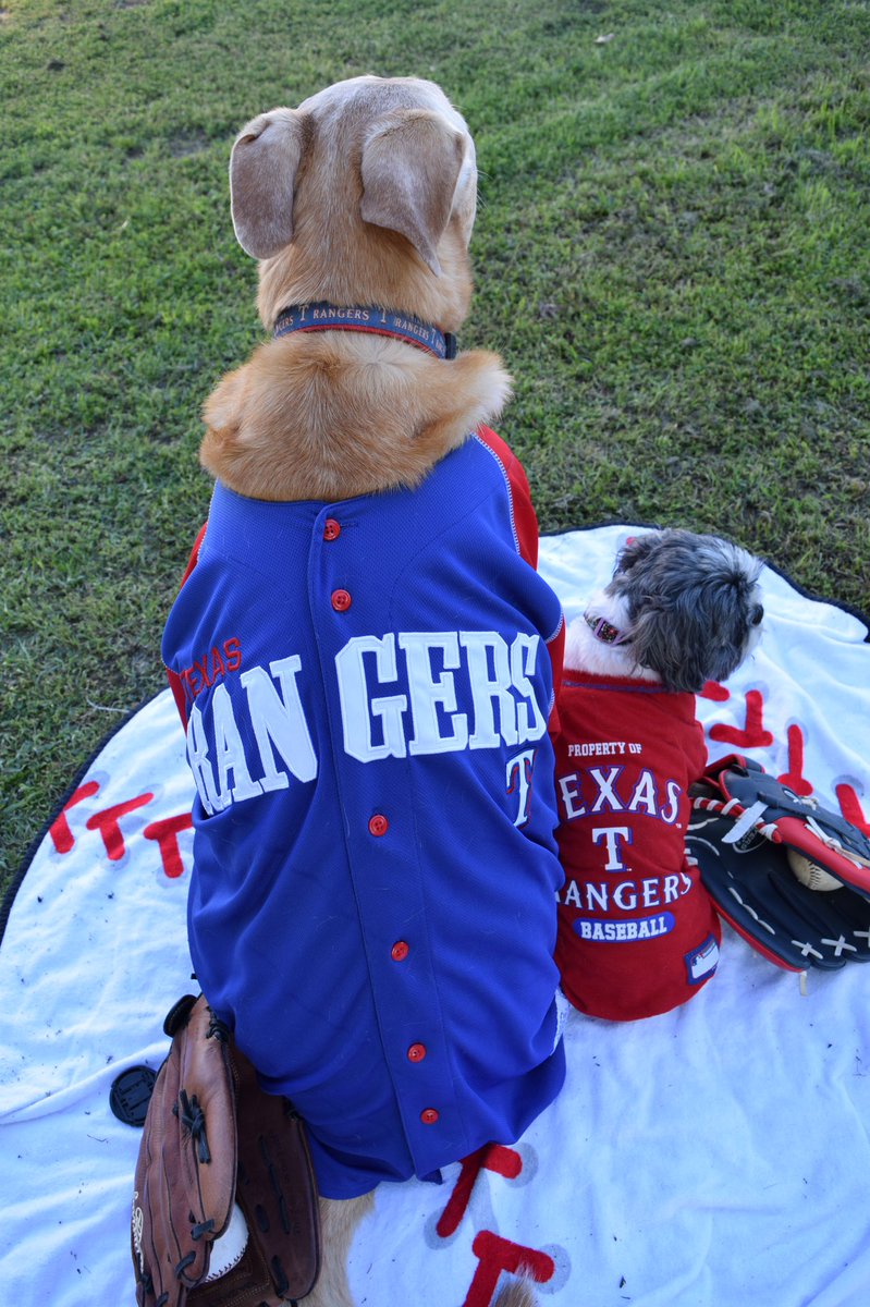 texas rangers dog jersey