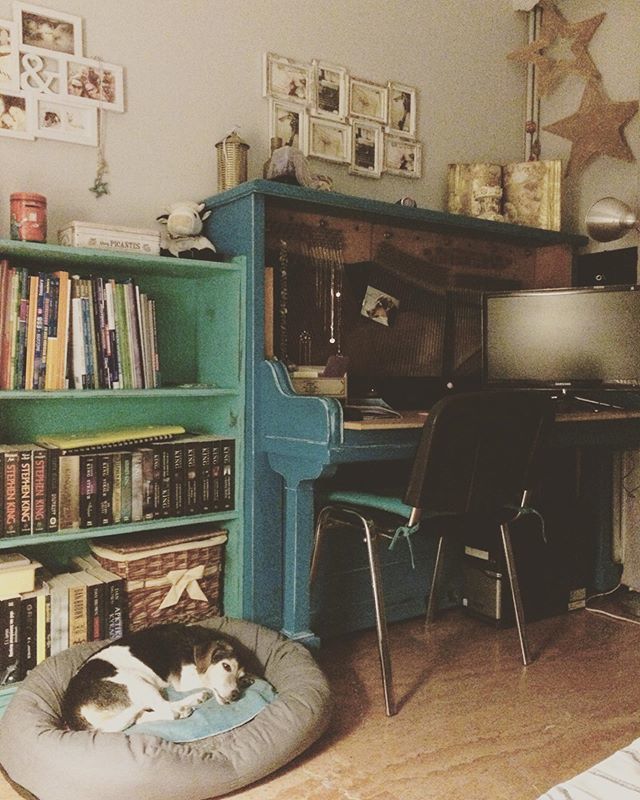 Chilli (@chillijrt) / Posts / X