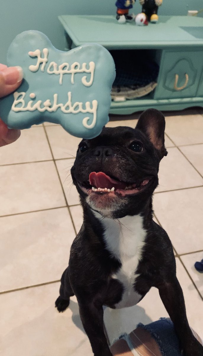 schaemarie's tweet photo. Happy Birthday to my sweet baby boy💛 you make my whole world go round and I’m so glad we got to celebrate you today. Thank you for being mama’s best friend💙🐾 https://t.co/N3cIoglRD7