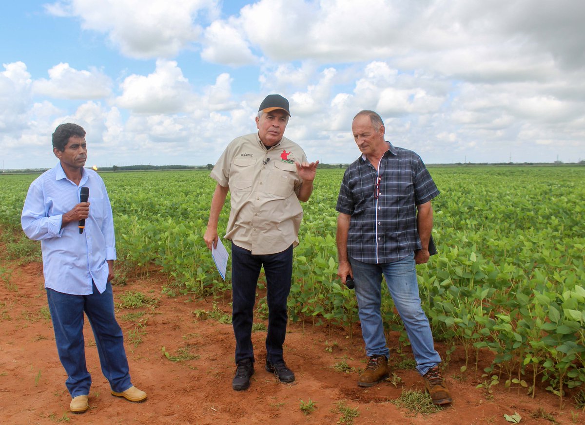 indervenezuela's tweet photo. #CultivandoPatria | Renato Clara: Estamos en la zona de Punta Gorda, parroquia El Tejero del municipio Ezequiel Zamora del Edo. #Monagas @fkassenMAT https://t.co/nepQ0Y8JWS