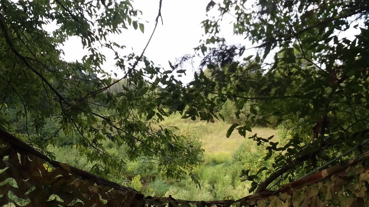 JRobbOutdoors's tweet photo. No deer & it was hot.... #outdoorlife #mossyoakcamo #tascotrailcam #mathewssolocamlx #bsaoptics #buckfever #antleraddict #greatoutdoors #stepoutside #nature #whitetaildeer #bowhunting #archery #deerhunting #hunting https://t.co/Mp3QexH1Fz