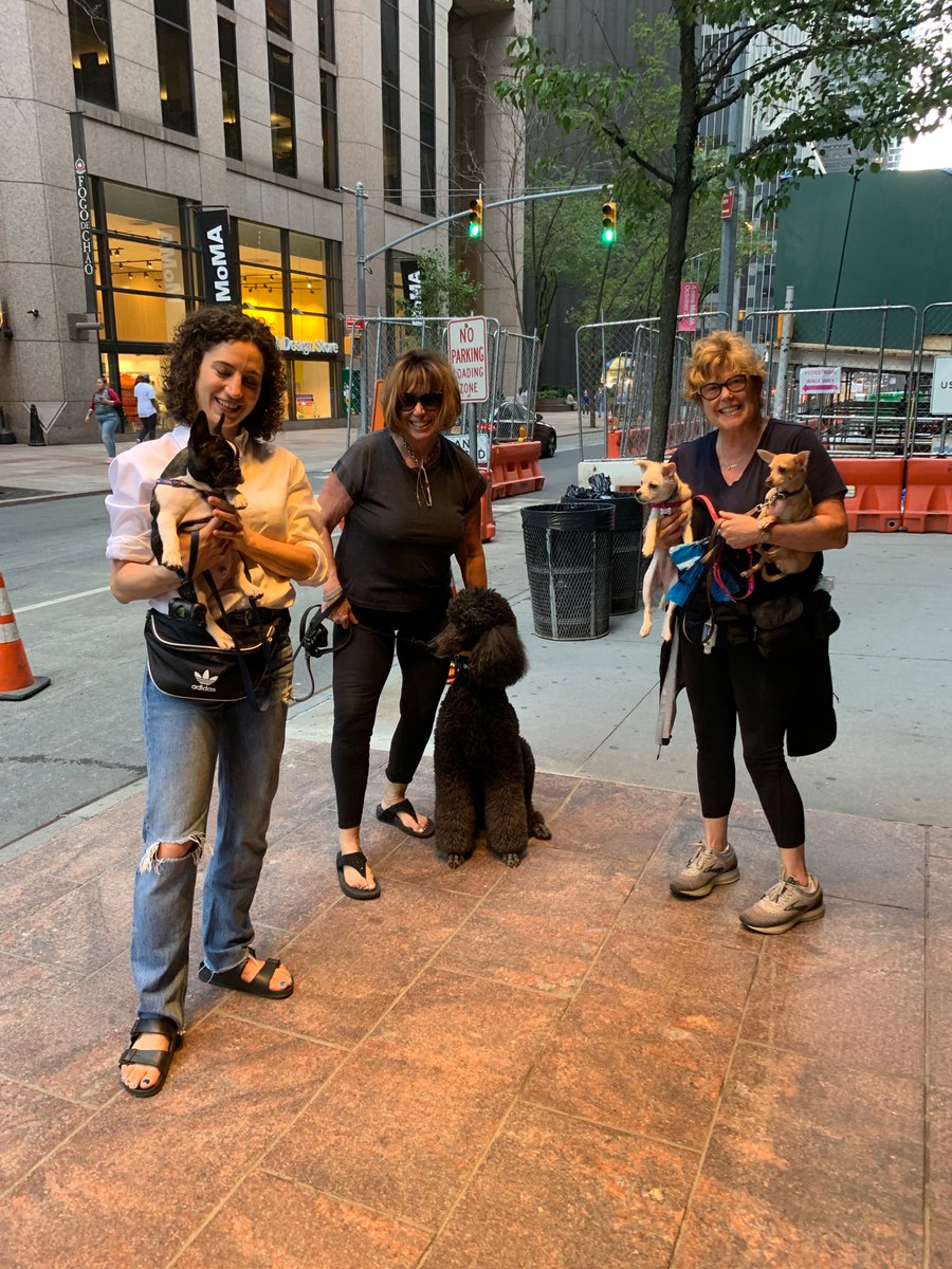 KenneyBaden's tweet photo. And then there was the Dog Convention later in the day same street. #ValejanKenneyBaden our dogson standard poodle, Persephone &amp; Thurman Munoz, and COWBOY the new Frenchie puppy- no last name needed. #mononymous like the star e.g. #GaGa @ladygaga https://t.co/mRuJFcZK9Q