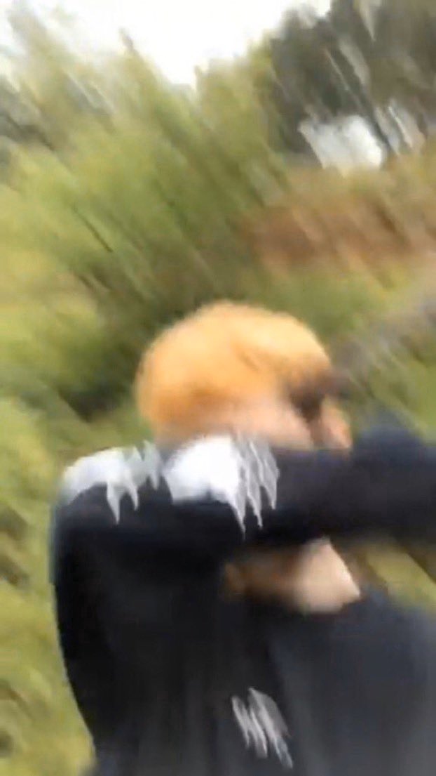 Ððð§ð©ððððð Ð¤ð§ðð£ðð Ðð¤ð® On Twitter Free The Frail