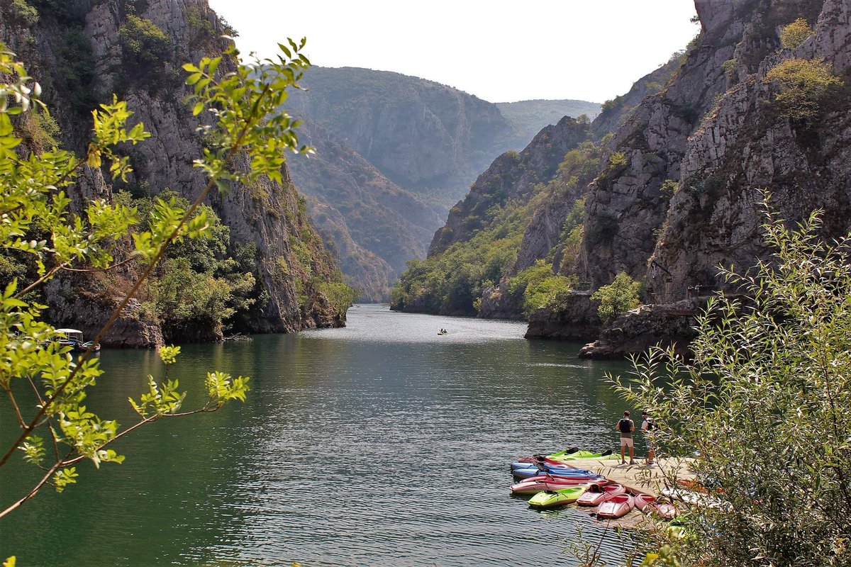 Travel Bugs World ✈️🐞🌎 tweet media