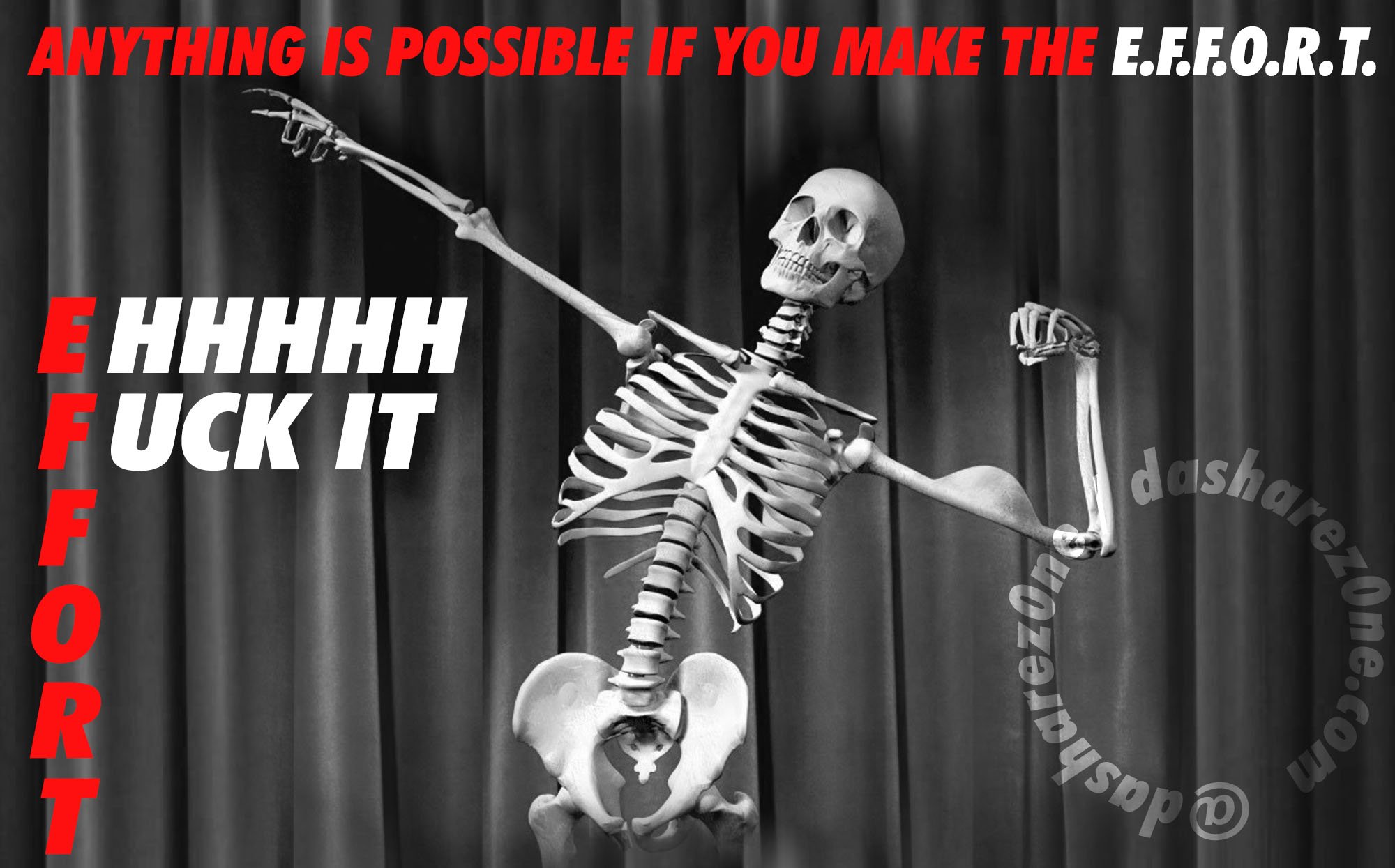 FUCK IT =- https://t.co/Qtp3PuUDXE ADMIN