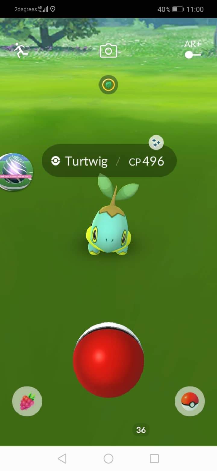ポケモンgo攻略情報 ポケマピ 海外で 色違いのナエトルの出現が確認されています 画像出典 T Co O9evk6wrhb ポケモンgo 色違いナエトル T Co 1mmhg5hgyu Twitter