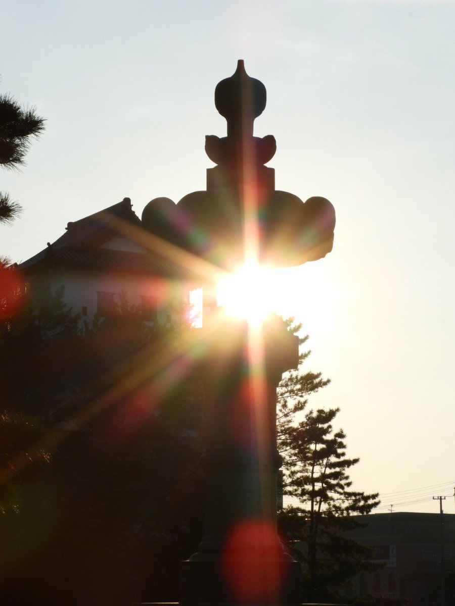 5BOEeFccf0qFfTk's tweet photo. #城 #castle #空 #sky #太陽 #sun #鏡面 #MirrorSurface #自然 #nature
#カメラ #写真 #photo #キリトリセカイ #ファインダー越しの私の世界 #カメラ好きな人と繋がりたい #写真好きな人と繋がりがたい #photographer #PhotoOfTheDay https://t.co/5MqhC7indY