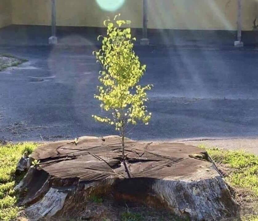 VetVsTheMachine's tweet photo. My life's purpose is to be better today than I was yesterday! #lifeisgood #lifeisgrowth #lifegoals https://t.co/DeLjuNbQDM