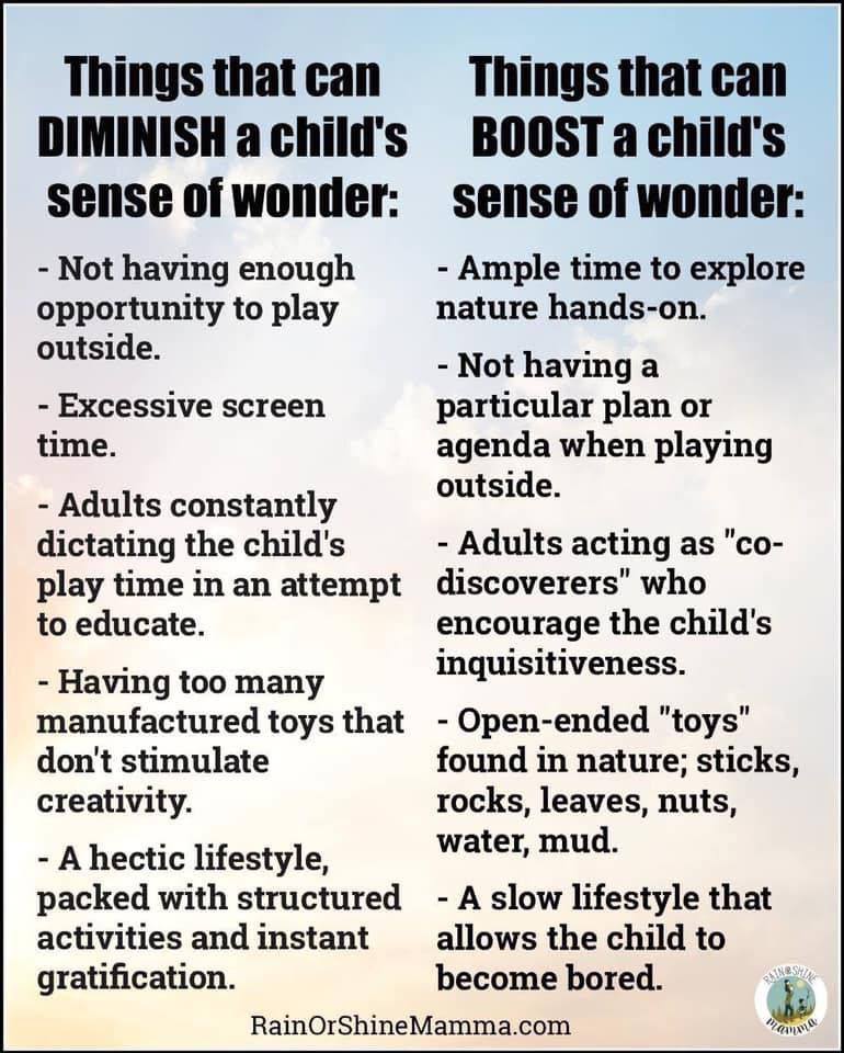 If you have to follow directions to figure out how a toy "works" your child probably doesn't need it 😊
#SenseOfWonder #ActAsACodiscoverer!! #FollowTheirLead!! 🌱🌱