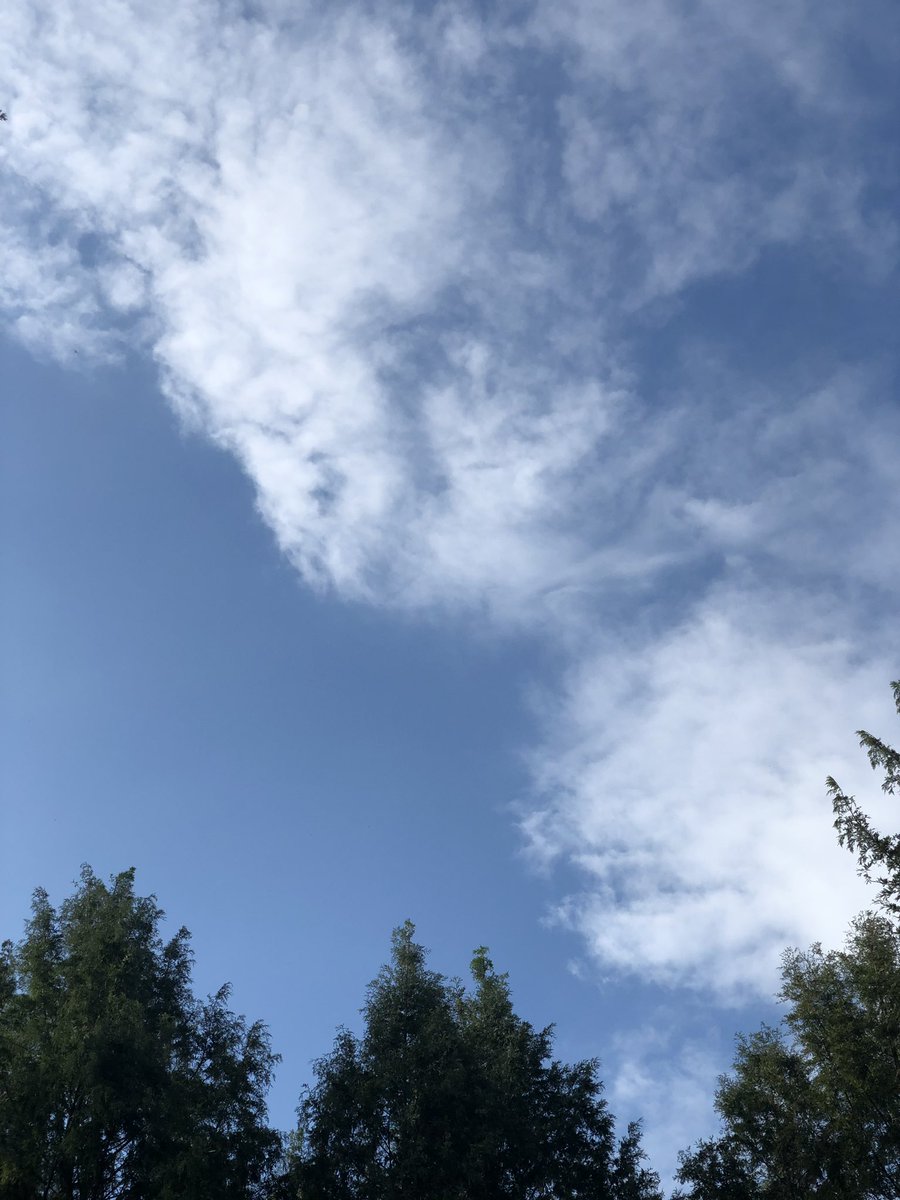 kkagung__'s tweet photo. Day 21. Sunday morning walking. Autumn’s in the air! https://t.co/TOXE2ySx3Y