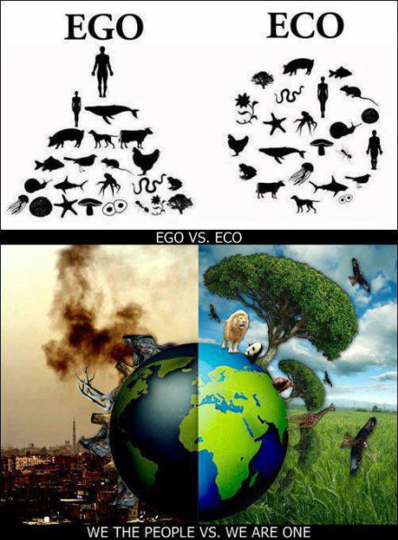 Irma46977582's tweet photo. @teletessie @plantbasedmax Not as awful as the eternal Treblinka other most unfortunate earthlings go through, though.
Even us, try as we might, still haven't yet shaken the shackles of ego.
Not a excuse not to try, though.
#UntilEveryCageIsEmpty
#NotForSale
#NotAProduct
#NotASlave https://t.co/2ILQusR7jS