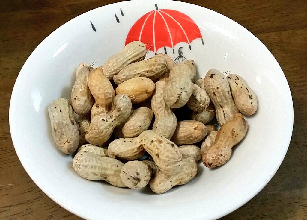 千葉産の生落花生はじめて食べたんですが めちゃめちゃおいしい 茹でたて最高 鶏と 山田ユギのイラスト