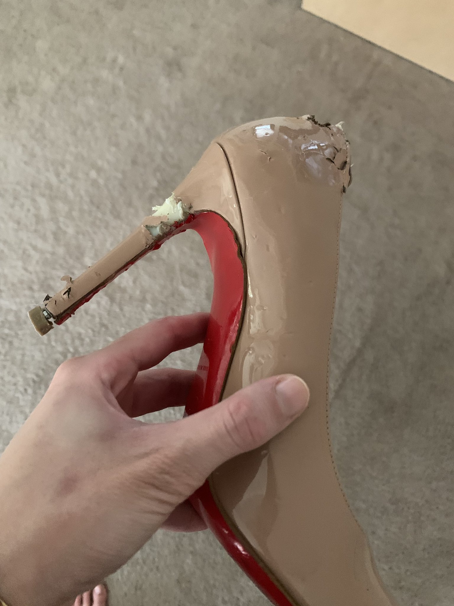 Chewed up shoes online
