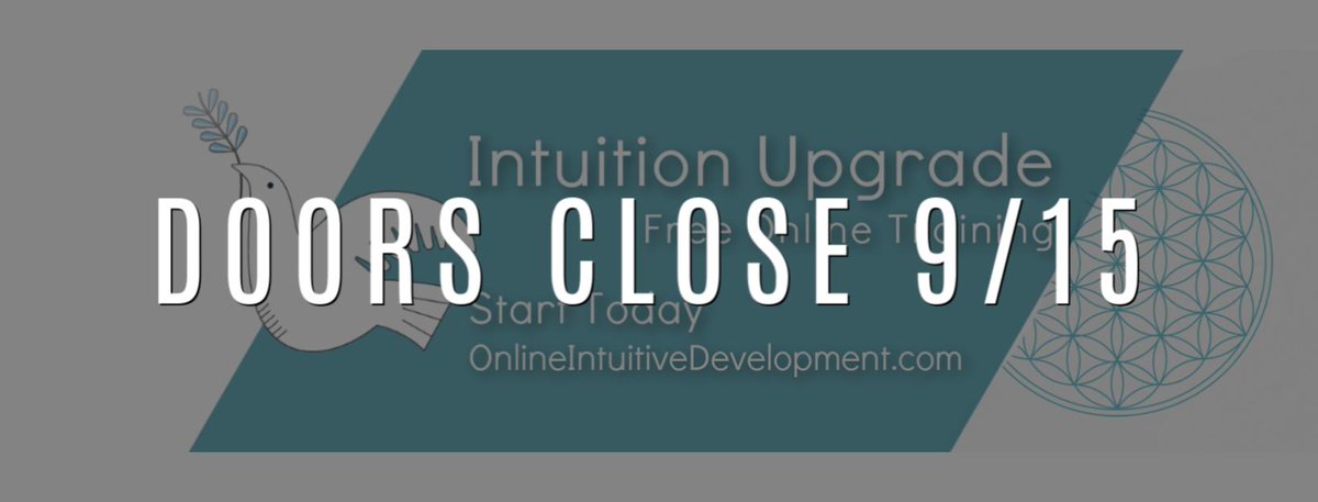 Intuition4Life's tweet photo. https://t.co/akXKAhMISj