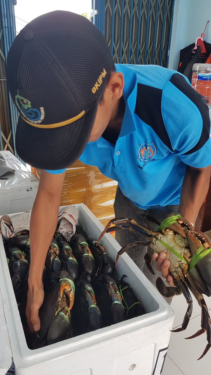 WilkerBiak's tweet photo. Pemeriksaan Media Pembawa Kepiting Bakau 40 ekor 1 Box milik Syamsuddin B Biak tujuan Zainal MJP Jakarta 
@BKIPMJayapura @HumasBKIPM @BKIPMJakartaI https://t.co/VfYH39eNeq