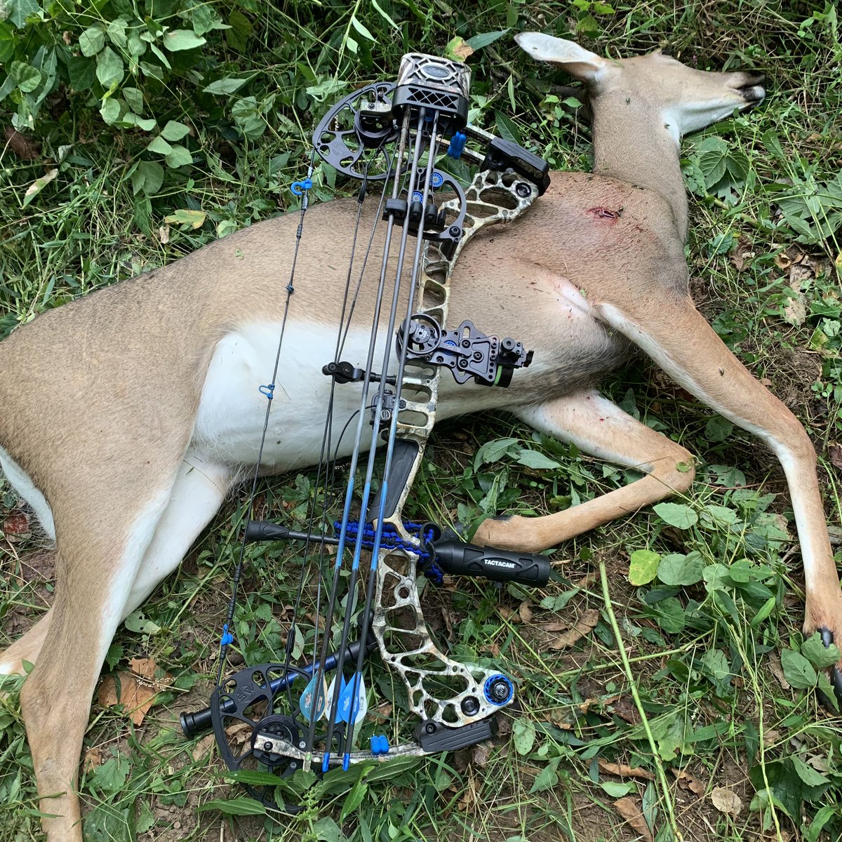 Jhawkins09's tweet photo. Well folks a little late with the post but got it done this morning. This is one of my hit list doe’s I just love it when a plan comes together. #purewhitetail #mathewsarchery #elementarchery #scentblaster #sickforthehunt #dirtnapbroadheads #riversedgestands https://t.co/9AFmgou7d6