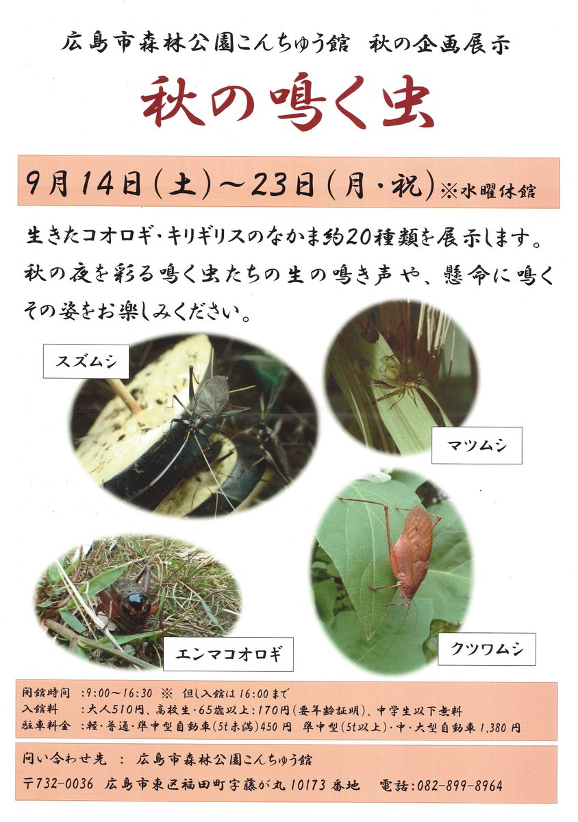 広島市森林公園こんちゅう館 Na Twitteru こんちゅう館では9月15日の10時から 秋の鳴く虫展とあわせて お家で鳴く虫 を開催します 秋の鳴く虫の採集や飼育方法について 職員が会場で解説します ぜひご来場ください ひろこん 秋の鳴く虫展