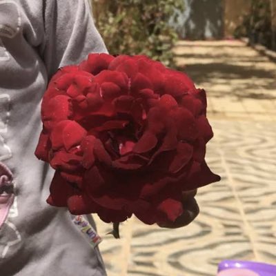 Amani2cs's tweet photo. #صورة_جديدة_للملف_الشخصي https://t.co/55UJh9dLuf