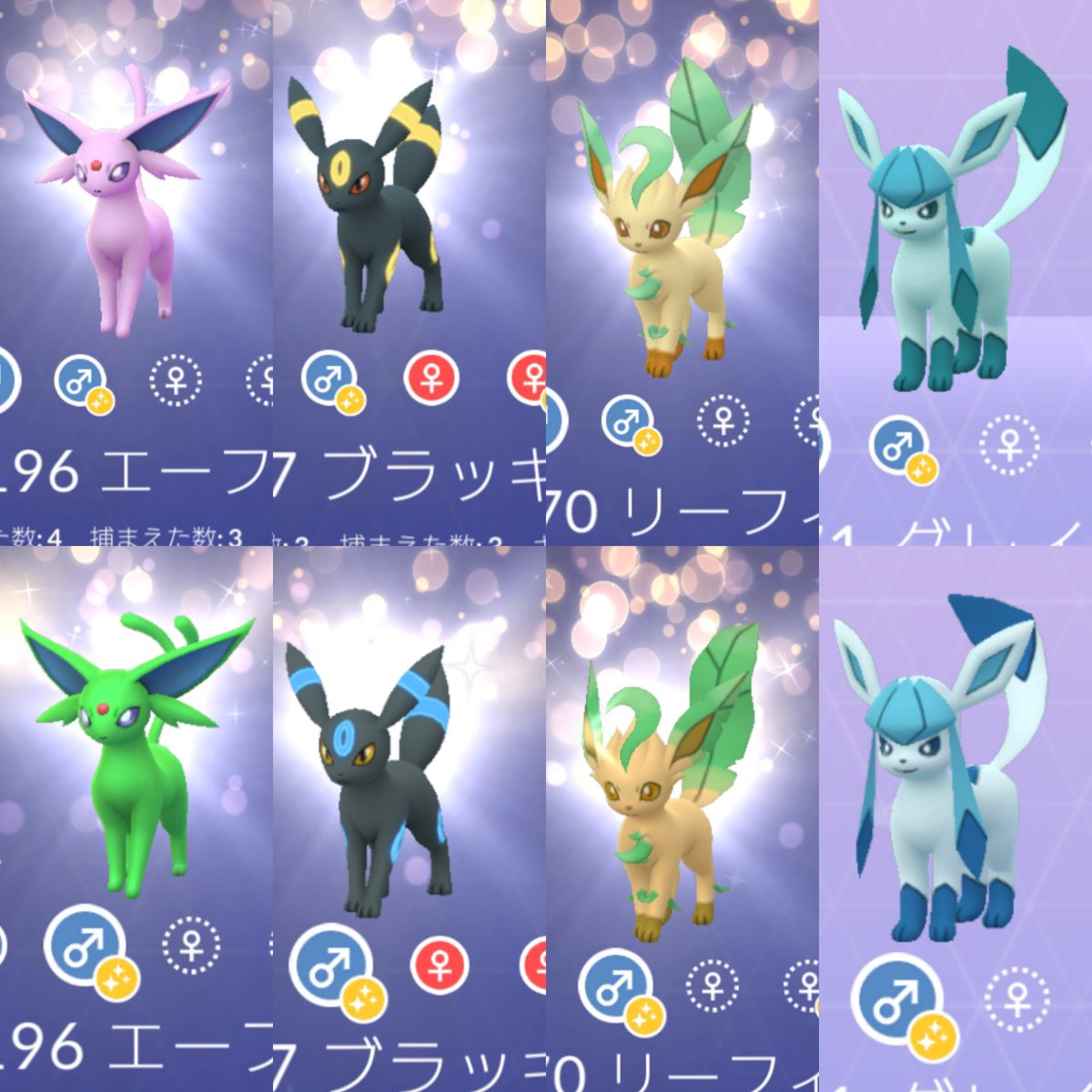 名無しの権兵衛 リーフィアの色違いゲットしたことで現状ポケモンgoに出てるブイズの通常色と色違いがようやく全て揃えられたでござる 個人的に一番好きな色違いはブラッキーかなぁ 黒青の配色がカッコいい ポケモンgo ブイズ 色違いポケモン T