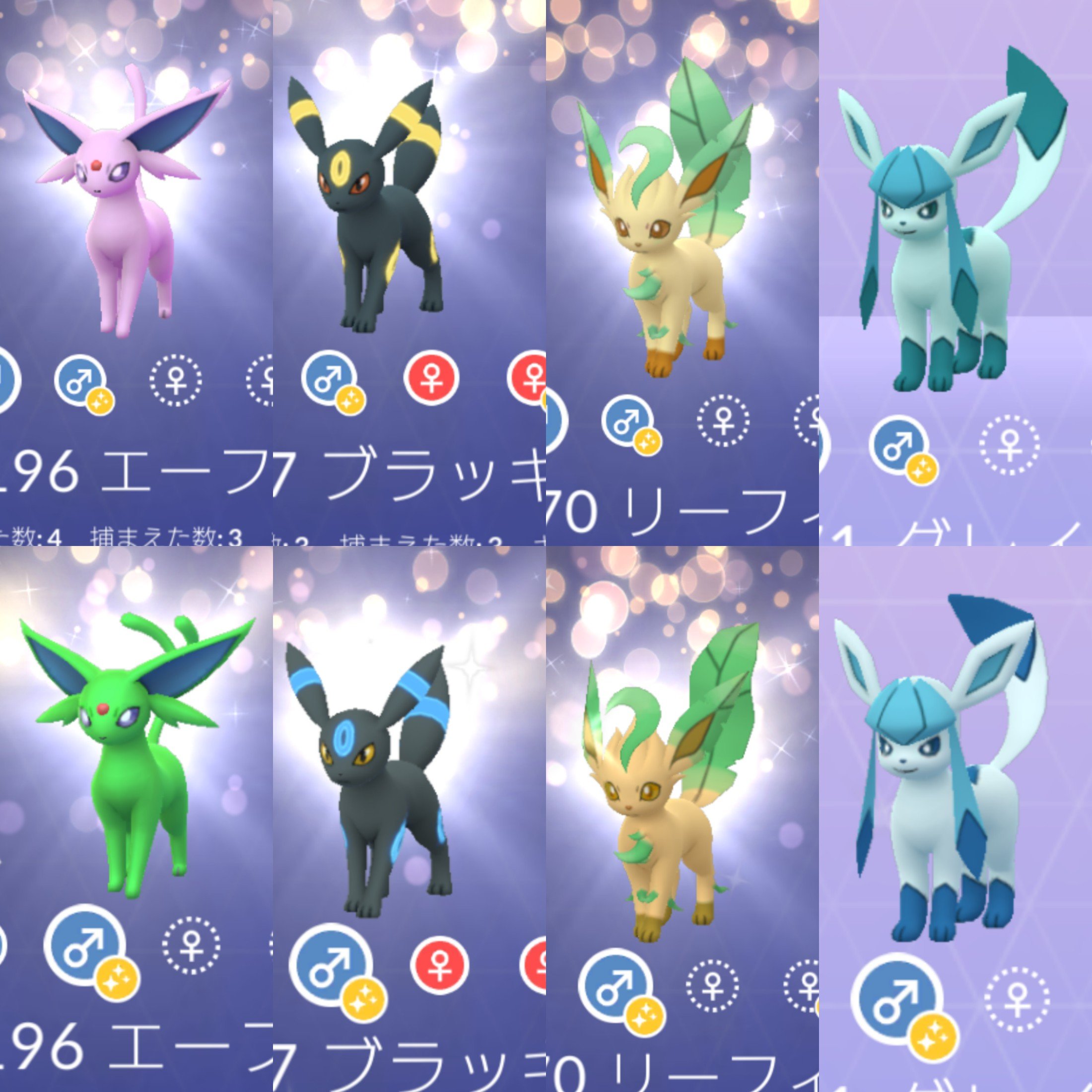 Twitter 上的 名無しの権兵衛 リーフィアの色違いゲットしたことで現状ポケモンgoに出てるブイズの通常色と色違いがようやく全て揃えられたでござる 個人的に一番好きな色違いはブラッキーかなぁ 黒青の配色がカッコいい ポケモンgo ブイズ 色違いポケモン T