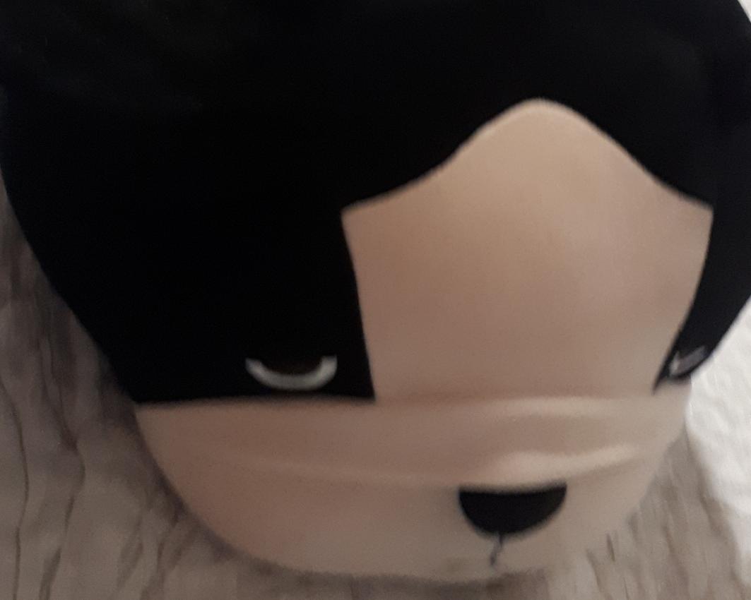 guimquin1104's tweet photo. 이마트에서 산 커다란 솜뭉치.. 내 현생을 표정으로 말해줌..🤣 https://t.co/JtHbuV4Gwh