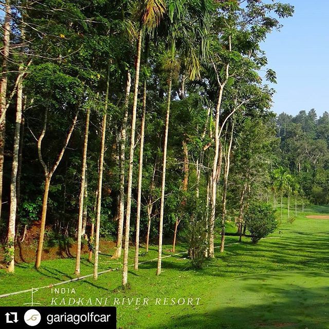 KadkaniAtCoorg's tweet photo. Shoot it right🏌️
Test your aiming skills at #Kadkani, an exclusive 9 Hole Golf Course. 
Book your stay:
Call : +91 9480833781
Email: sales@kadkani.com
#KadkaniAtCoorg #BangaloreGetaway #Bangaluru #Activity #Golf #GolfCourseHotel #Adventure #Coorg 
#Repost @gariagolfcar
• • •… https://t.co/pdEebiRRol