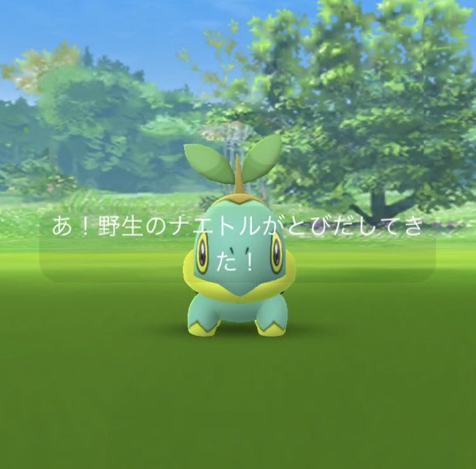ポケモンgoで ナエトルコミュデイ が話題に ポケgo トレンディソーシャルゲームス