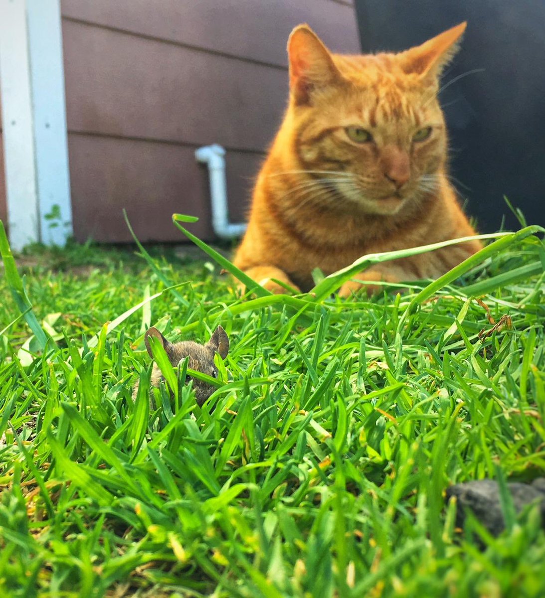 Coolpics Productions tweet media