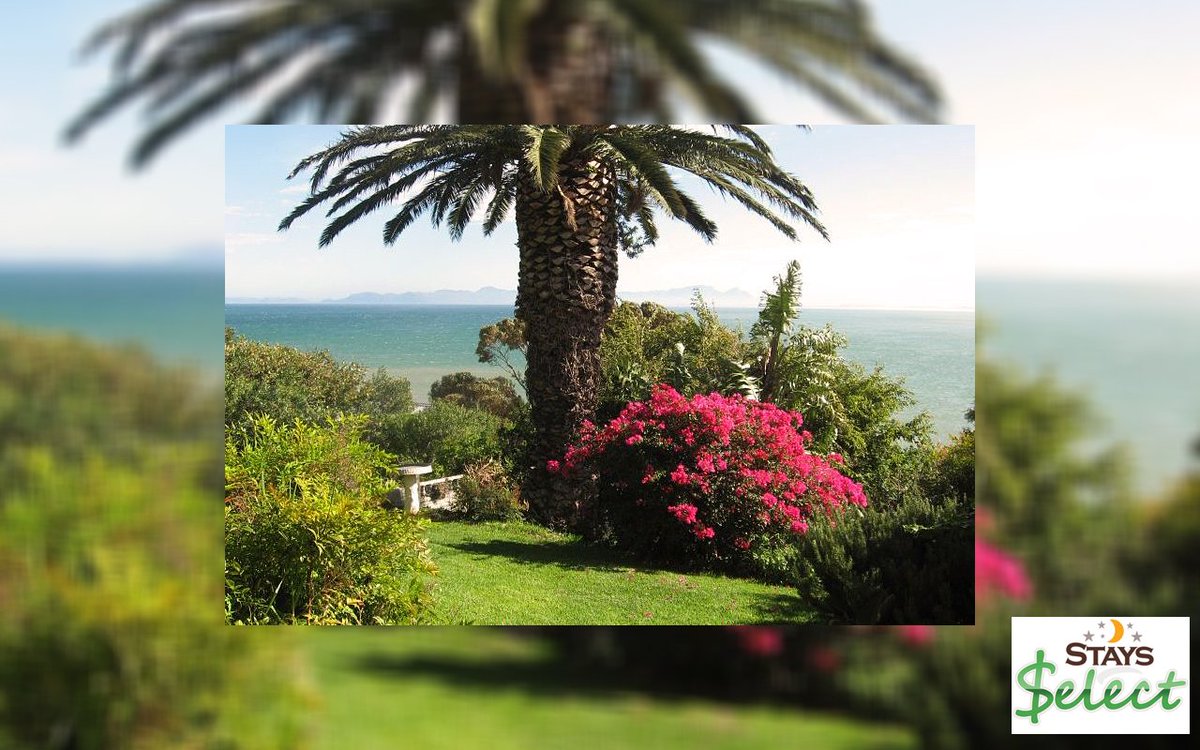 StaysCollection's tweet image. The seaside village of Gordon's Bay offers wonderful safe beaches, fishing, 2 harbours &amp;amp; a marina, scenic drives &amp;amp; whale watching.

westerncapestays.co.za/logan-s-lodge/…

#stays #Staysselect #localvenues #Southafrica #holiday #fishing #Gordonsbay #beaches #whalewatching