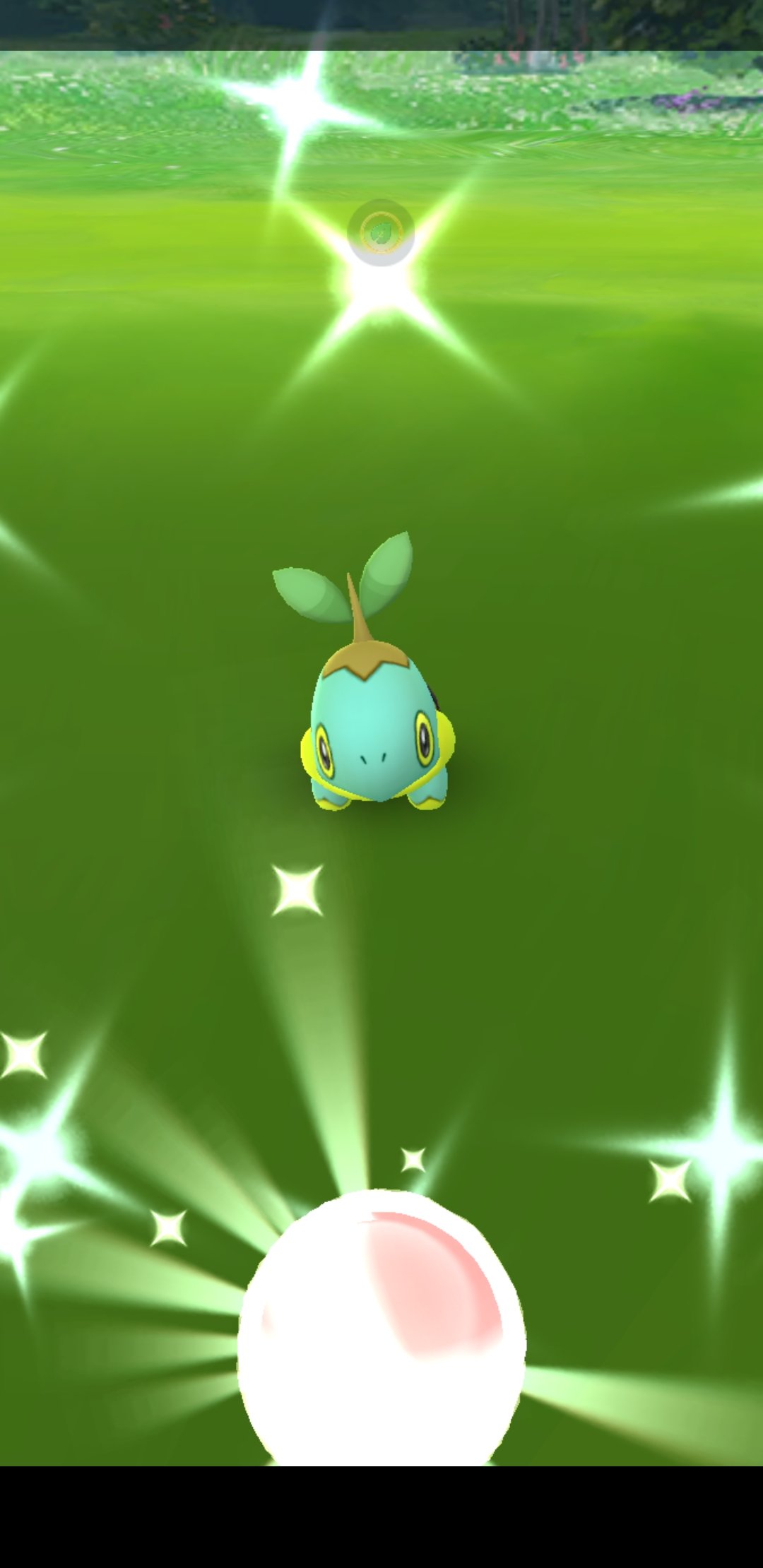 Amazinghisa Di Twitter 今日のポケモンgo活動1 ナエトルコミュニティ お疲れ様でした 今回は色違いナエトル9匹と良い結果でした 個体はほどほどでした 縁起の良いcp777のナエトルとも遭遇 ポケモンgo コミュニティデイ ナエトル ハヤシガメ ドダイトス