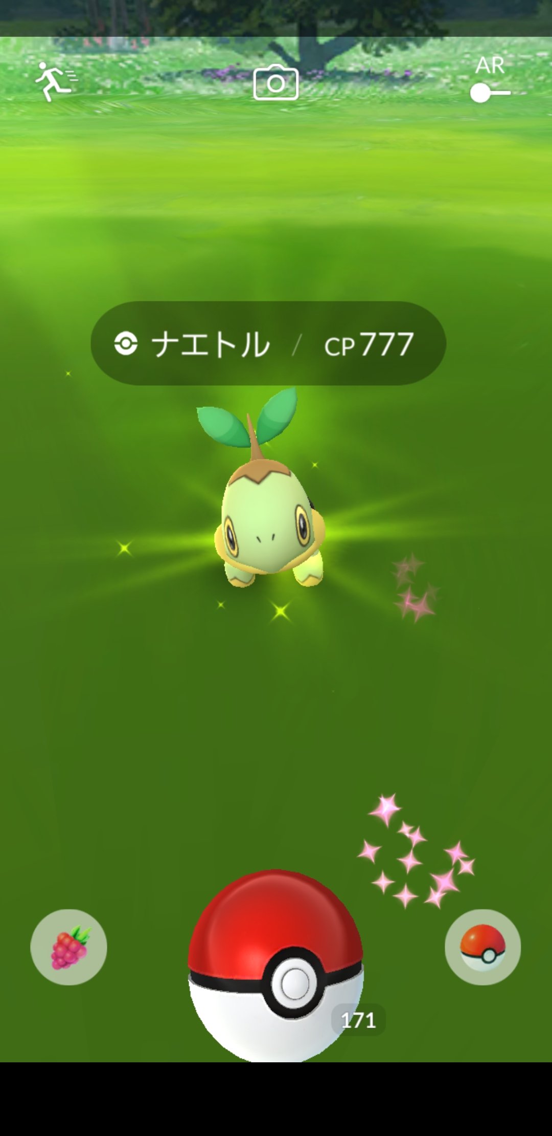 Amazinghisa Di Twitter 今日のポケモンgo活動1 ナエトルコミュニティ お疲れ様でした 今回は色違いナエトル9匹と良い結果でした 個体はほどほどでした 縁起の良いcp777のナエトルとも遭遇 ポケモンgo コミュニティデイ ナエトル ハヤシガメ ドダイトス
