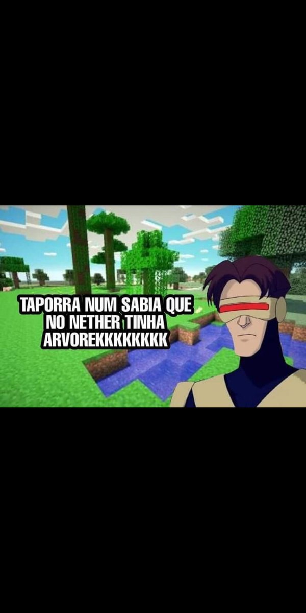 pato_gaucho's tweet photo. @PatoPacraft aprova esse meme https://t.co/wfe17yNoVR