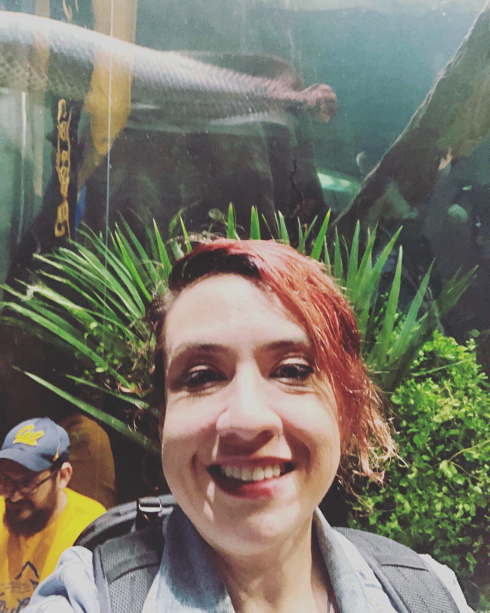 wendigobunny's tweet photo. #CaliforniaAcademyOfSciences #Aquarium #AdamBunny #YarnAdam #Yarnigel #Spacedogs #GrumpyFish https://t.co/DZCguDuhFw